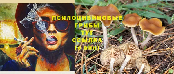 MDMA Premium VHQ Нея