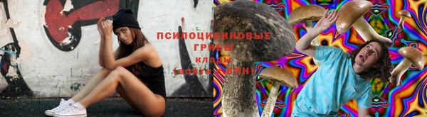 гидропоника Алексеевка
