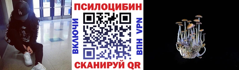 сколько стоит  Макушино  Псилоцибиновые грибы мицелий 